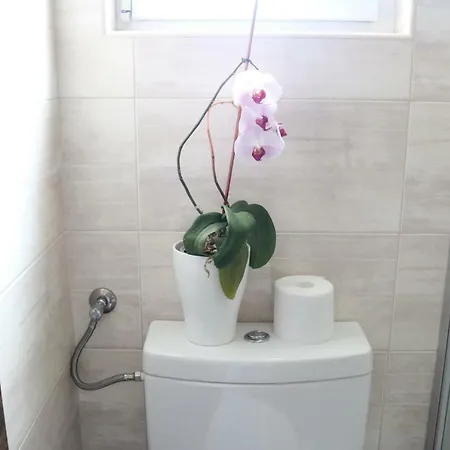 Apartment Ela