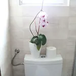 Apartment Ela